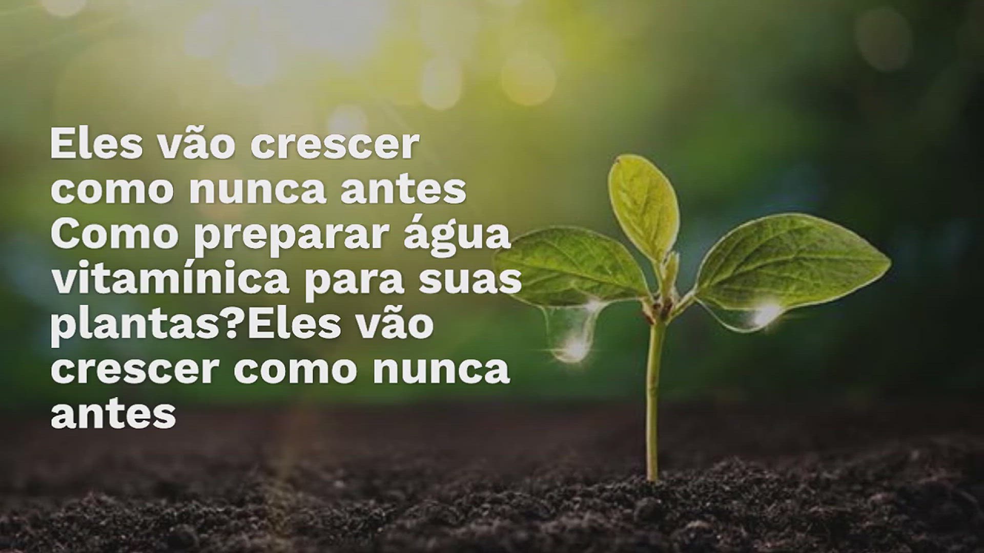Video thumbnail for Como preparar água vitamínica para suas plantas? Eles vão crescer como nunca antes