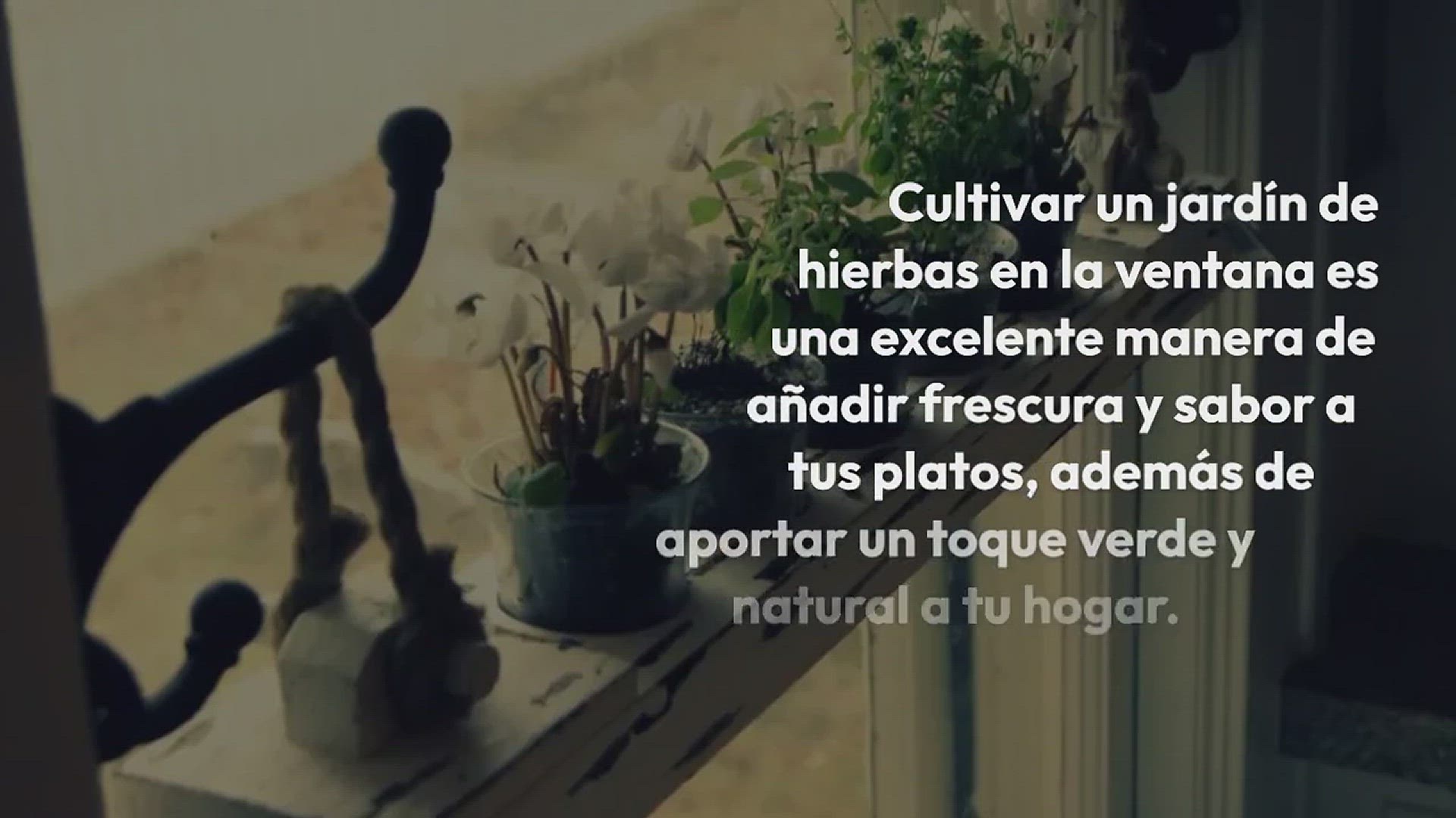 Video thumbnail for Cómo cultivar un jardín de hierbas en tu ventana: Guía paso a paso para principiantes