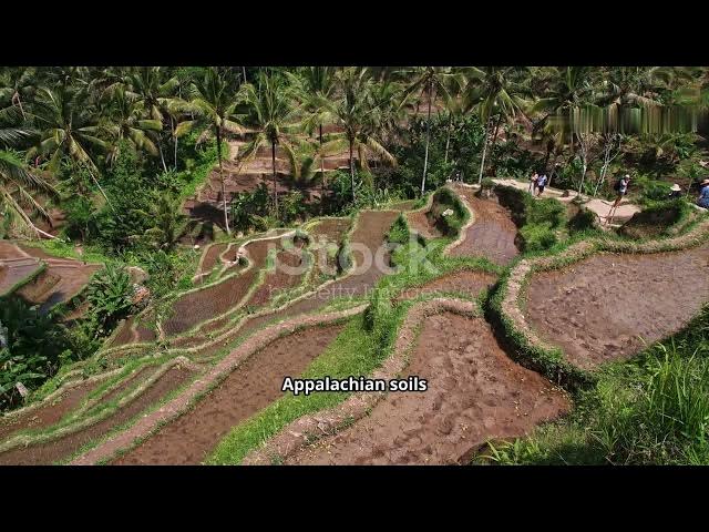 Video thumbnail for Terrace Farming in the USA Reviving an Ancient Practice for Modern Agriculture