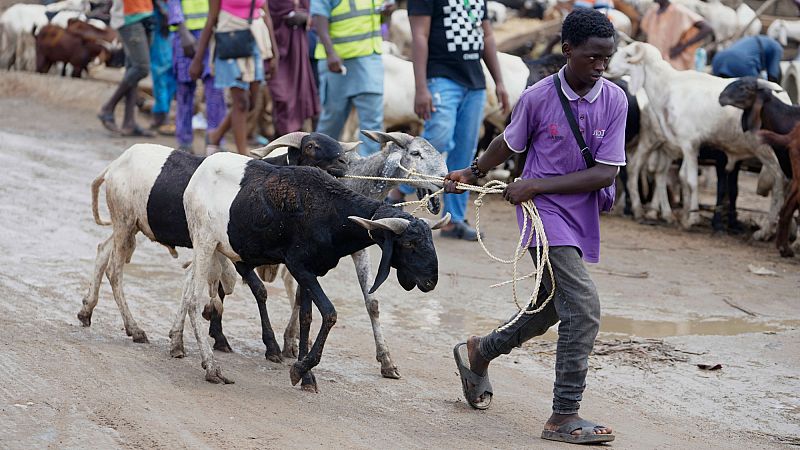 'Video thumbnail for Nigerians struggle to afford rams for Eid celebrations as inflation soars'