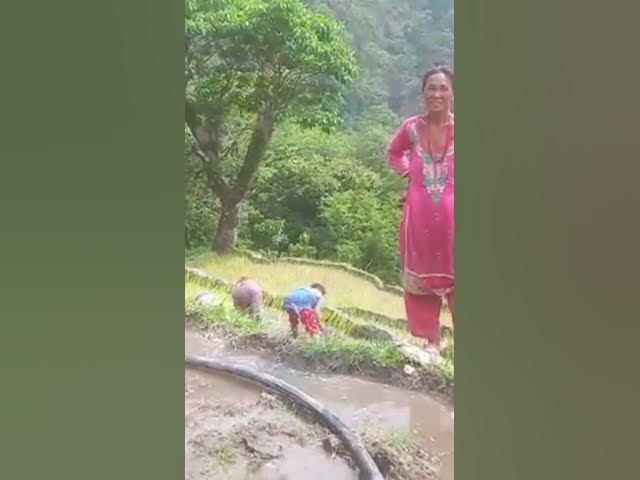 Video thumbnail for 4 July 2024