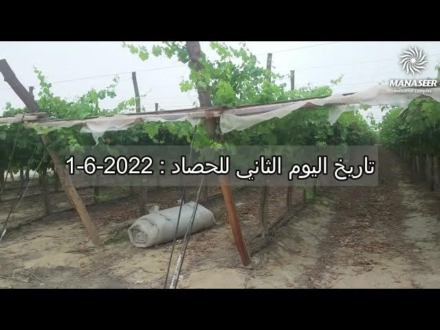 Video thumbnail for تطبيق مخصب التربة الترا كلاسيك Ultra Clasic