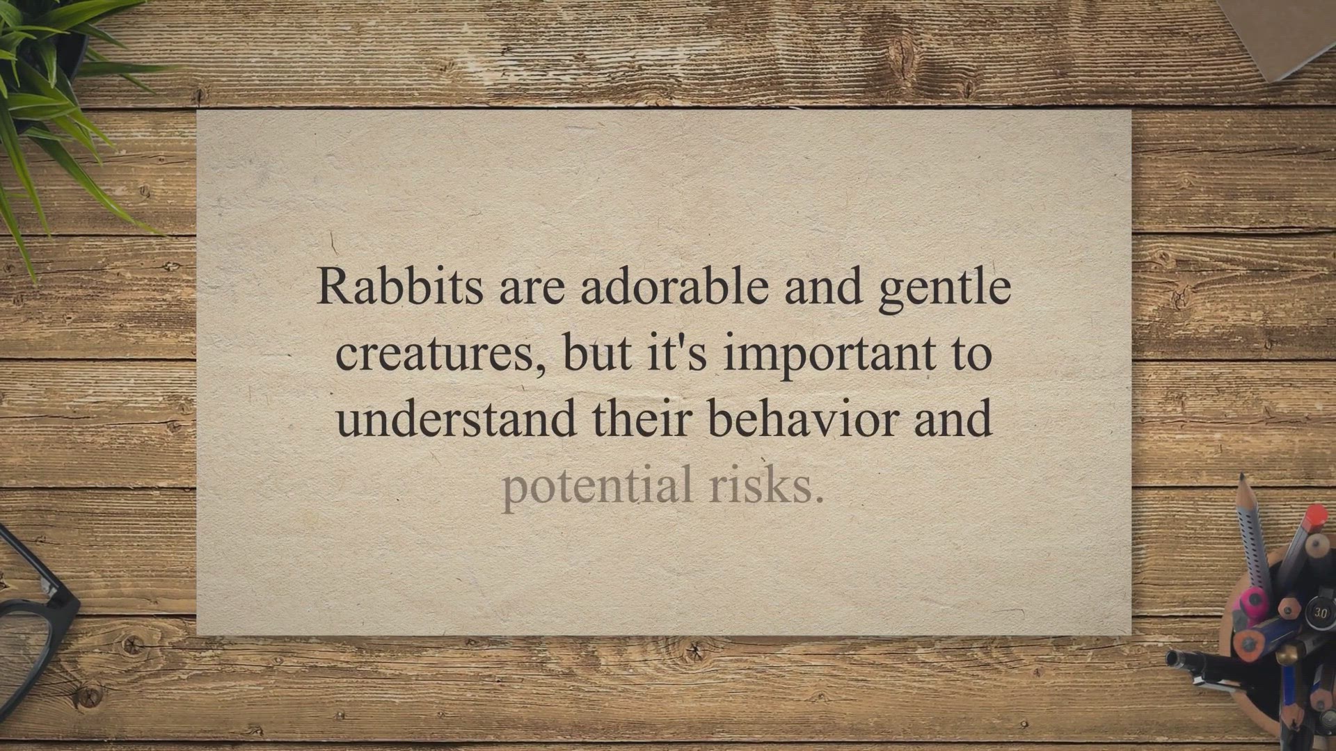 Video thumbnail for Do Rabbits Bite? Tips for Handling