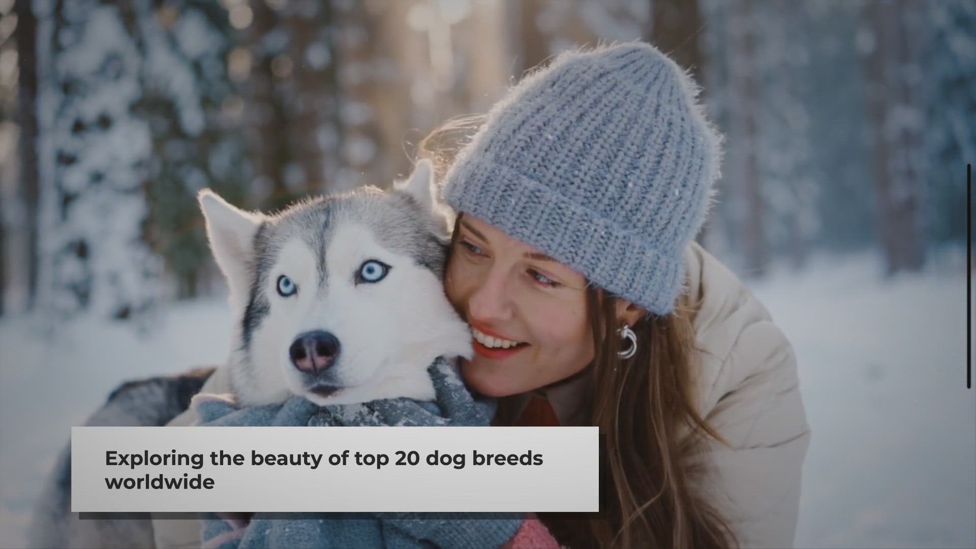 Video thumbnail for Top 20 Most Beautiful Dog Breeds Around the World