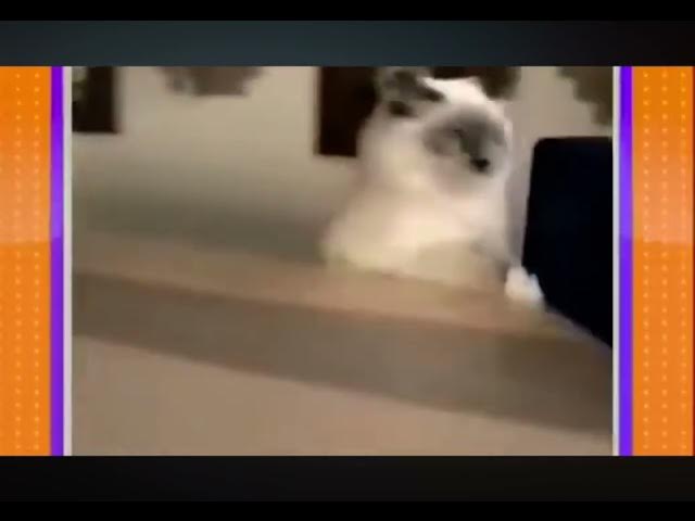 Video thumbnail for June 5, 2025