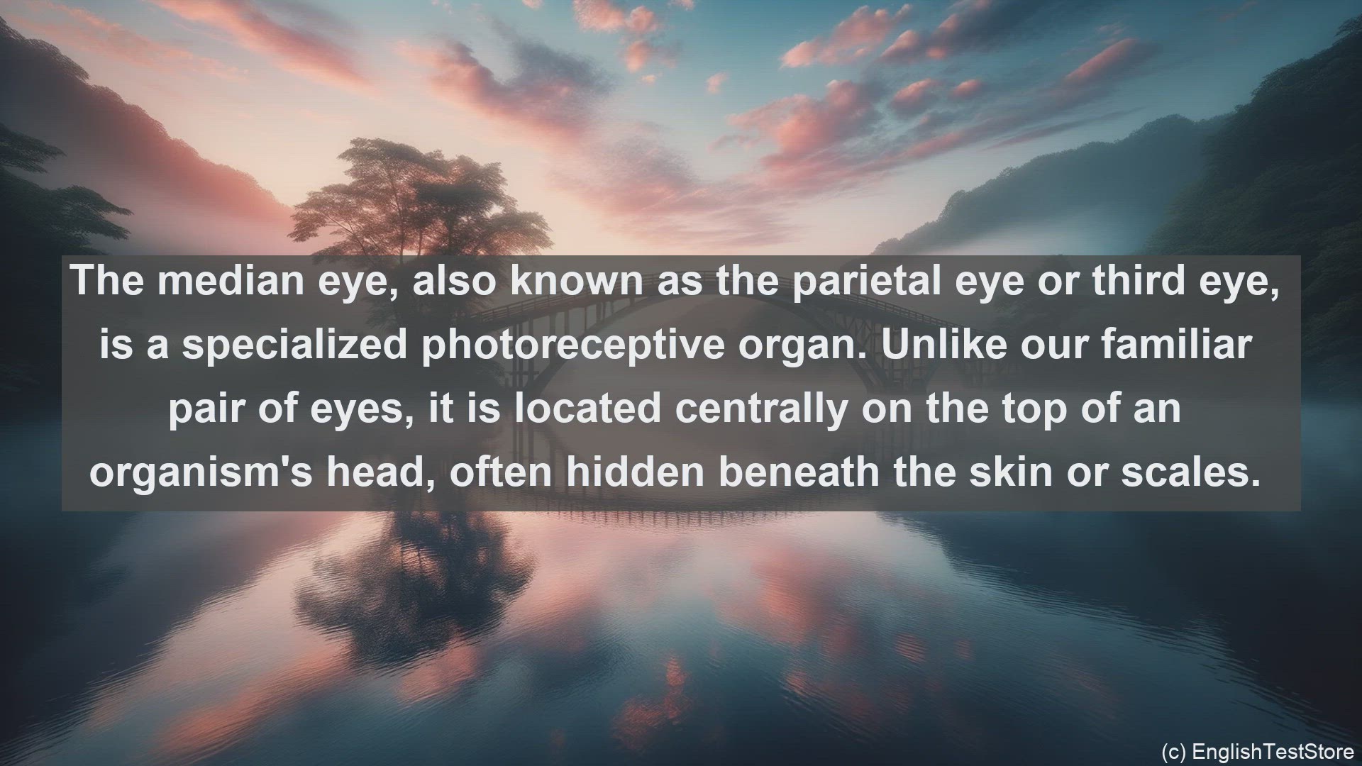 'Video thumbnail for Median eye in science  definition and examples'