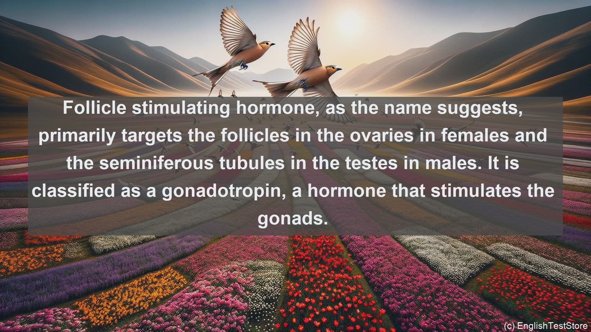 'Video thumbnail for Follicle stimulating hormone in science  definition and examples'