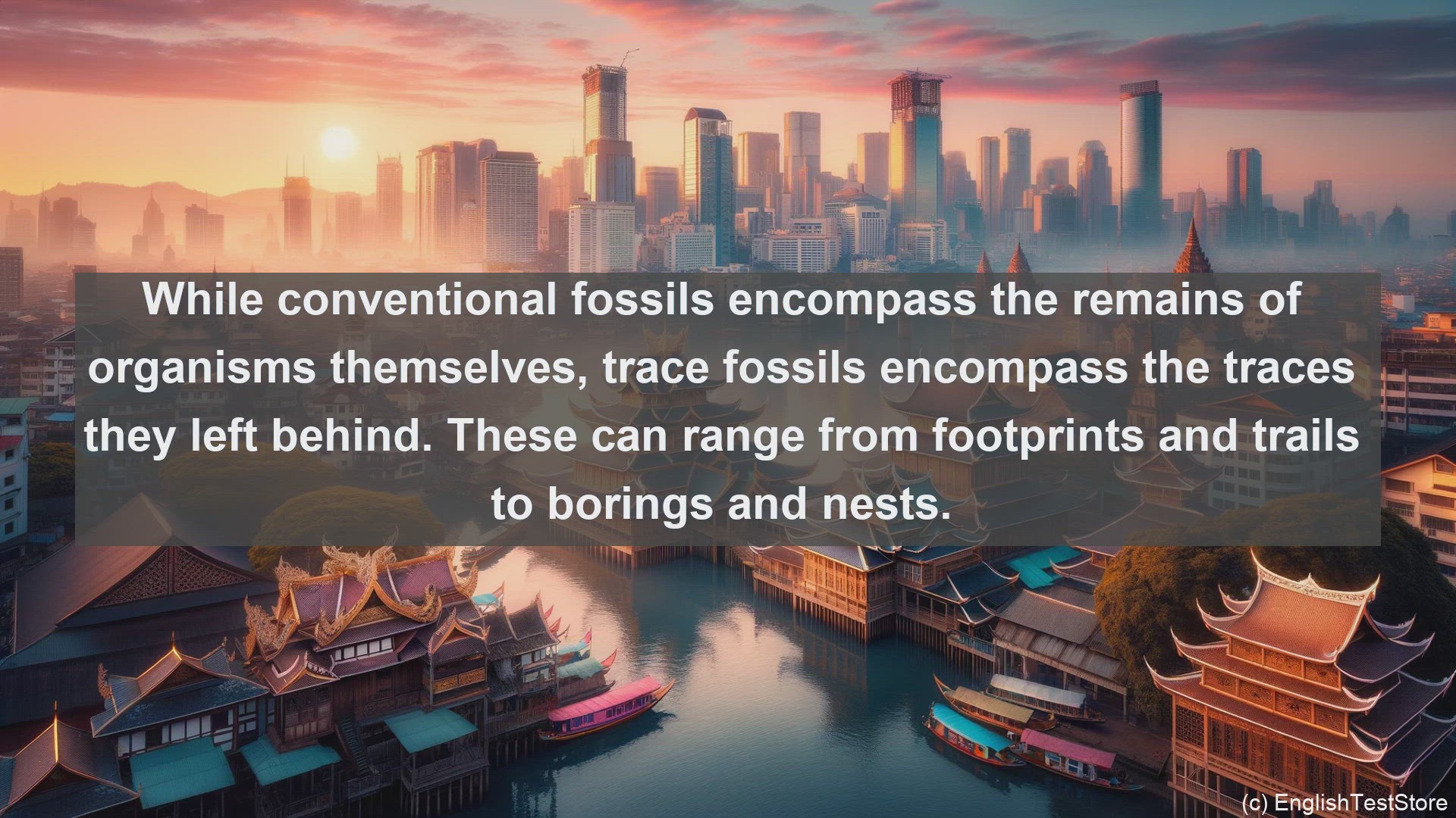 'Video thumbnail for Trace fossils in science  definition and examples'