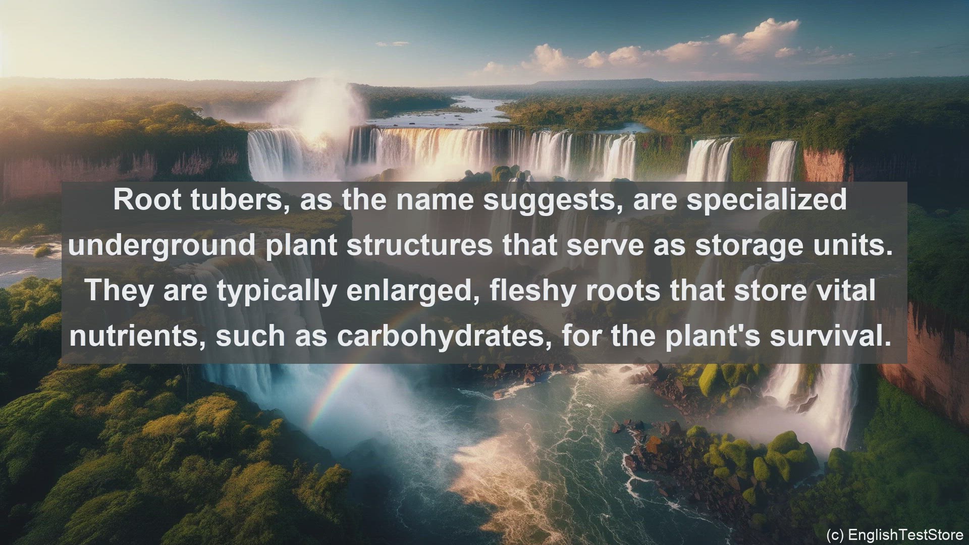 'Video thumbnail for Root tubers in science  definition and examples'