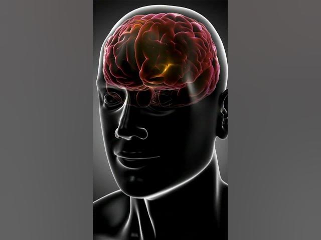 Video thumbnail for Suggestion–Impulse–Bind 🤯 | Atomic Habits Explained in 60 Secs