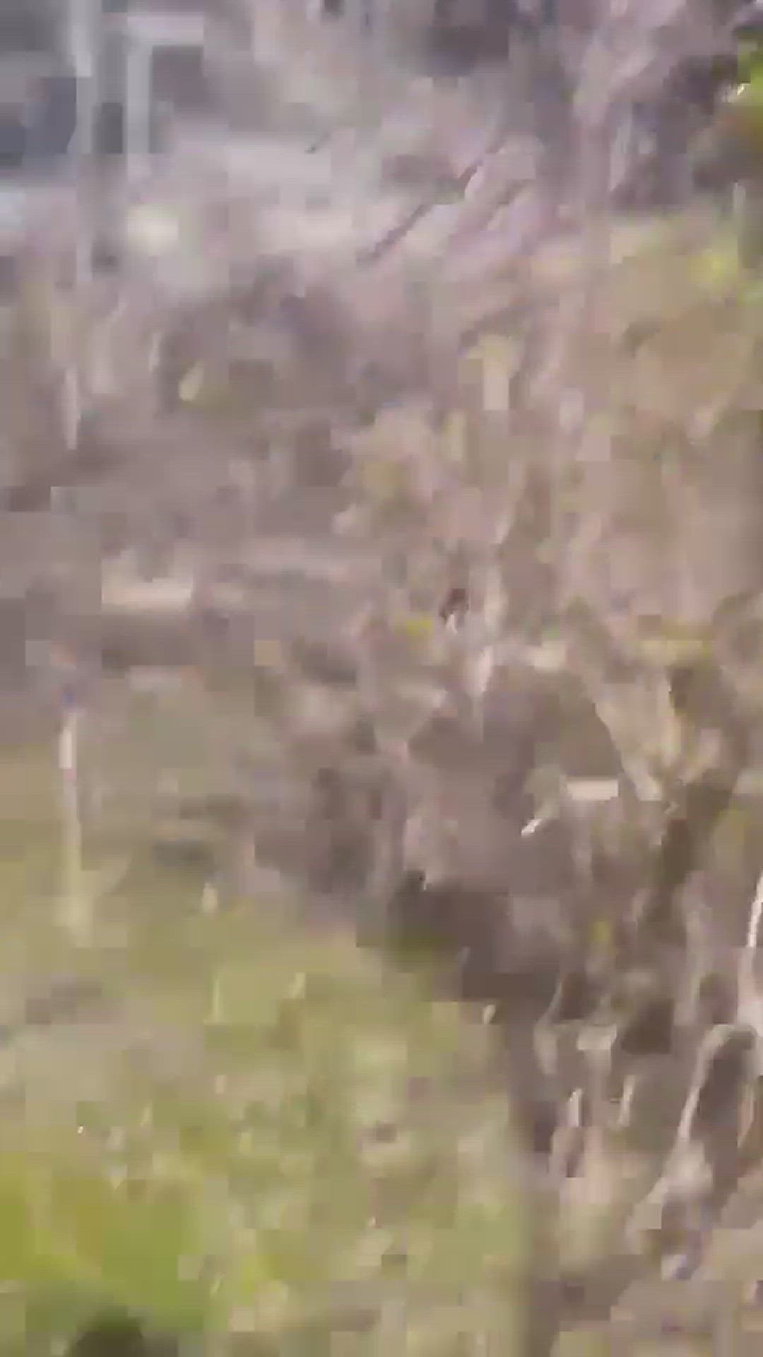 Video thumbnail for Suspect found dead after shooting near Beam Hall at the University of Nevada in Las Vegas