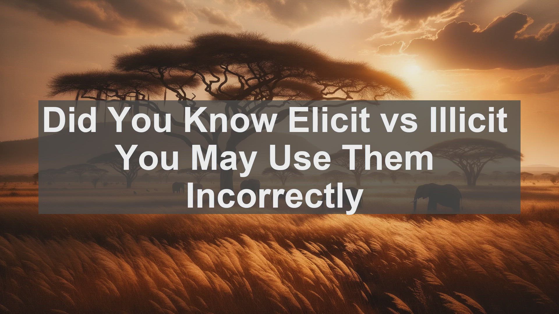 'Video thumbnail for Did You Know Elicit vs Illicit You May Use Them Incorrectly '