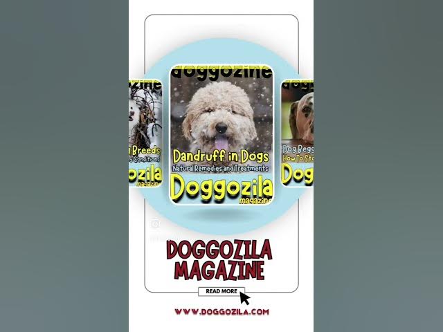 'Video thumbnail for Dog Magazine with Health Guidelines, Training Tips, Fun Lifestyle and Adventures #doglife #doglover'