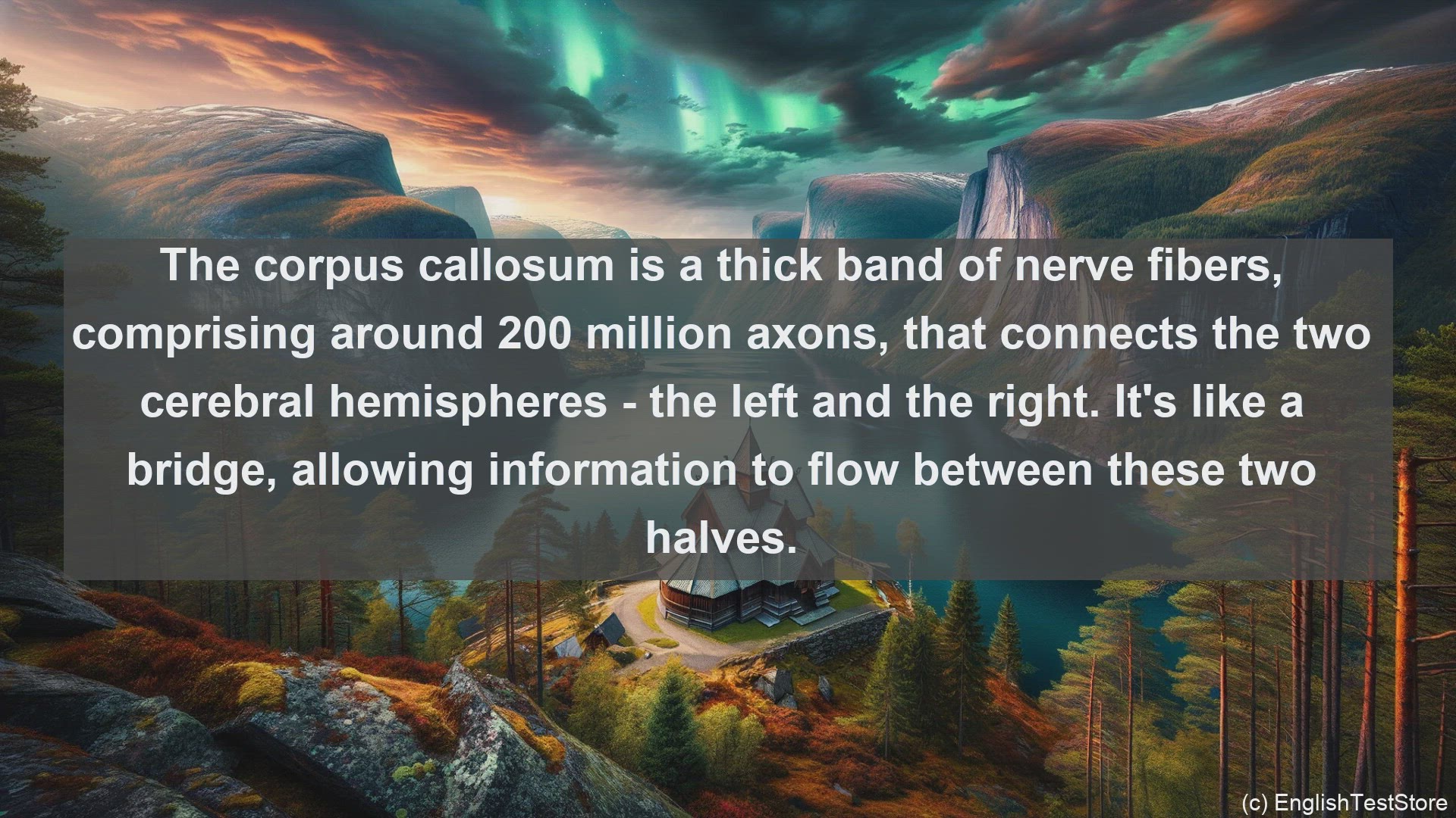 'Video thumbnail for Corpus callosum in science  definition and examples'