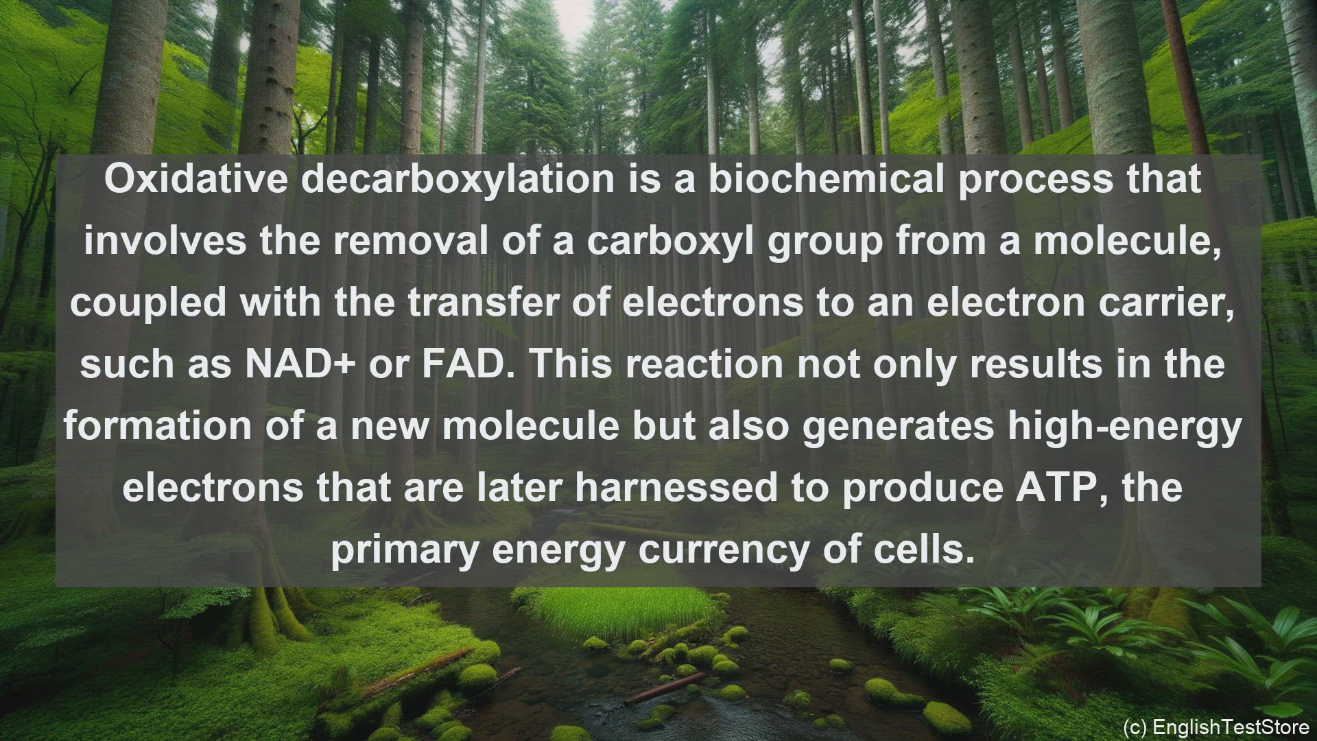 'Video thumbnail for Oxidative decarboxylation in science  definition and examples'