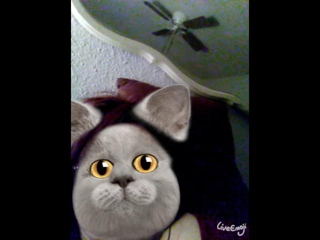 Video thumbnail for ʟʊaռa ɢօɨռɢ ċʀaʐʏ!