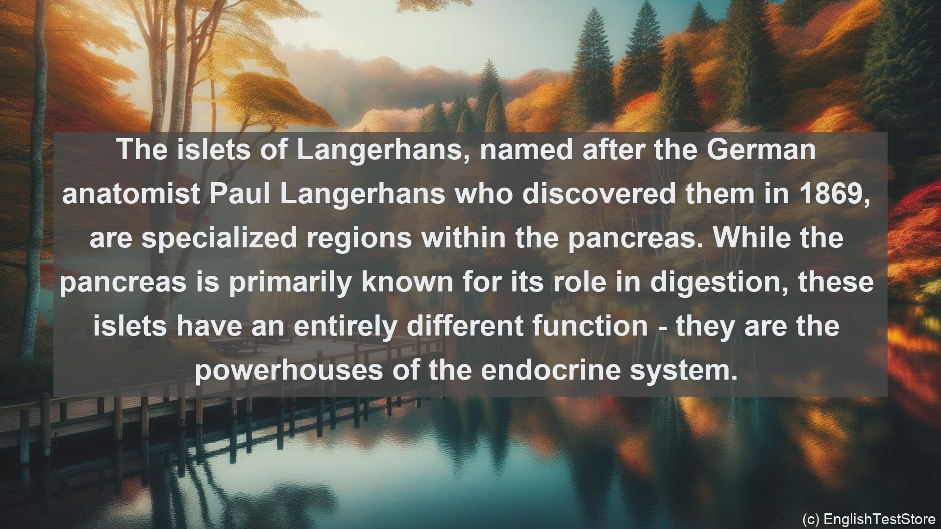 'Video thumbnail for Islets of langerhans in science  definition and examples'