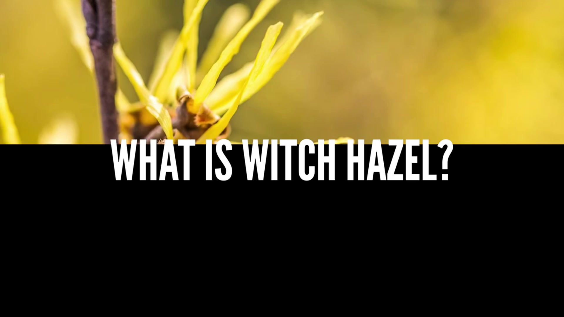 Video thumbnail for Witch Hazel for Acne ; Good Or Bad¿ Get The Facts (720p 24fps)