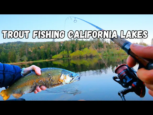 Video thumbnail for Fishing for HUNGRY Trout in California Mountain Lakes