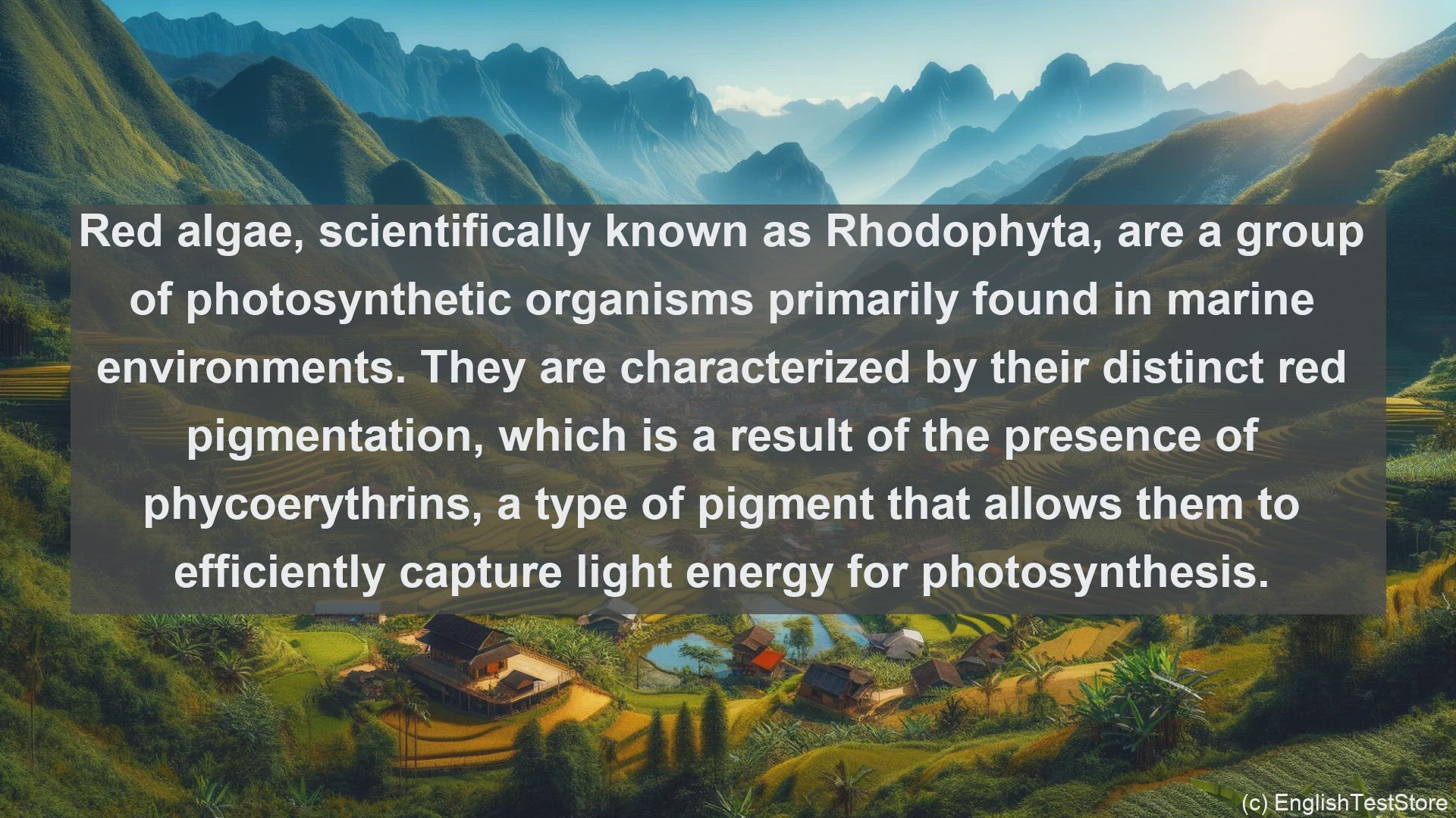 'Video thumbnail for Red algae in science  definition and examples'