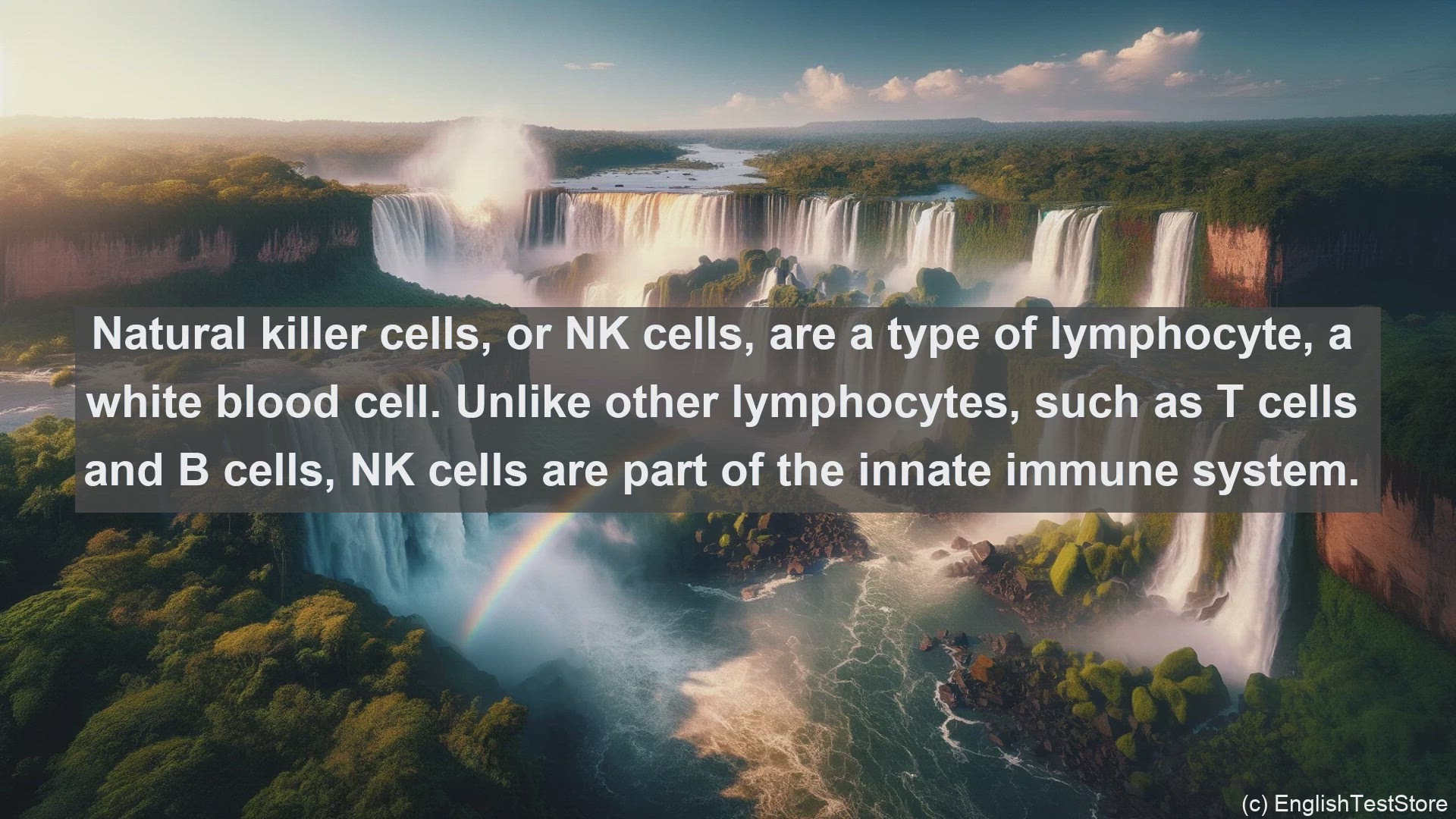 'Video thumbnail for Natural killer cells in science  definition and examples'