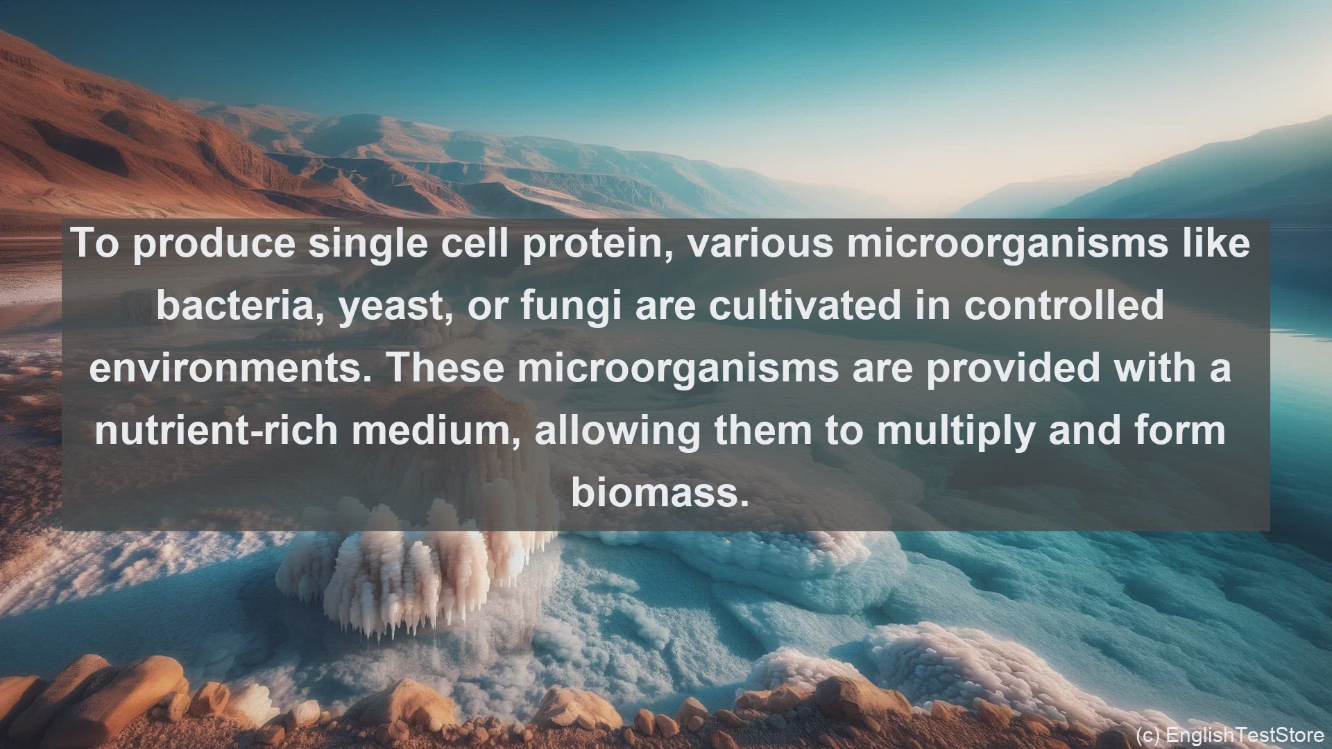 'Video thumbnail for Single cell protein in science  definition and examples'