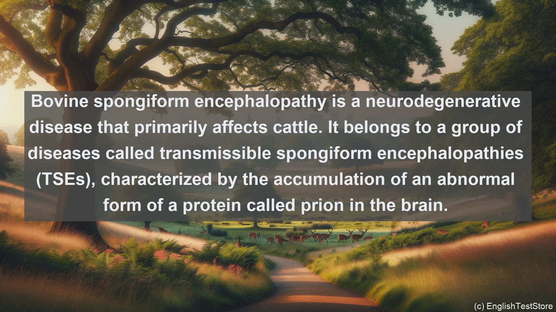 'Video thumbnail for Bovine spongiform encephalopathy in science  definition and examples'