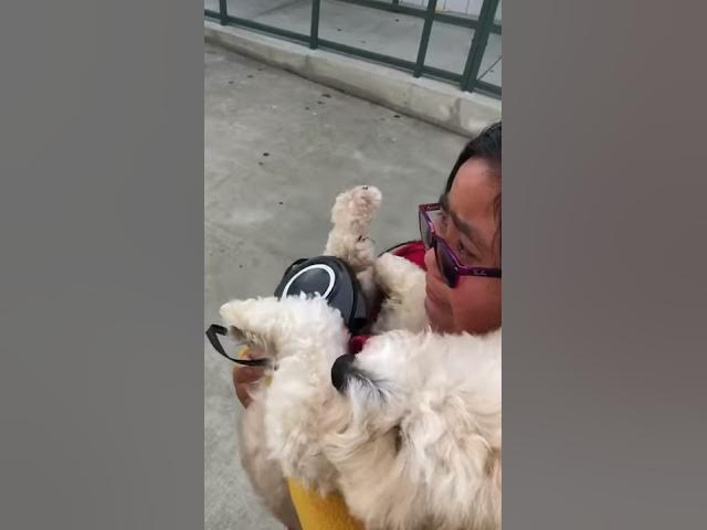 Video thumbnail for School