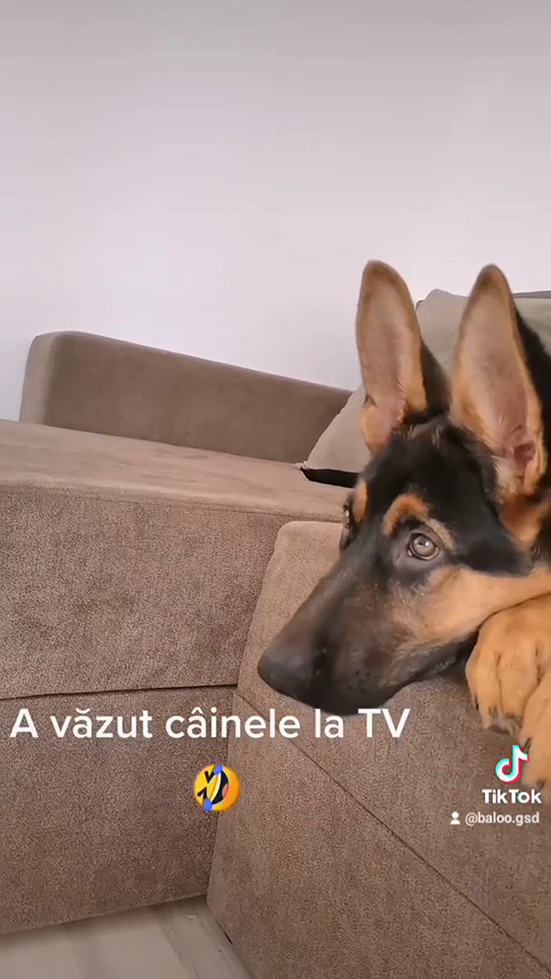 'Video thumbnail for Baloo-star.com'