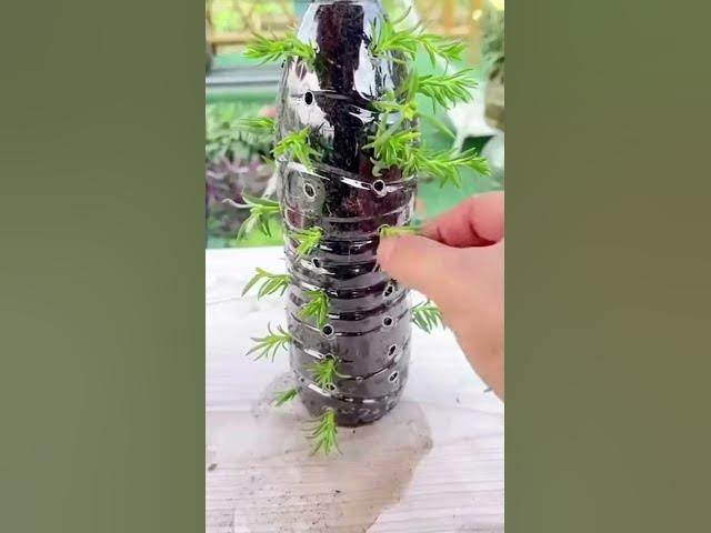 Video thumbnail for Suspension fleur avec bouteille #jardin #jardinage