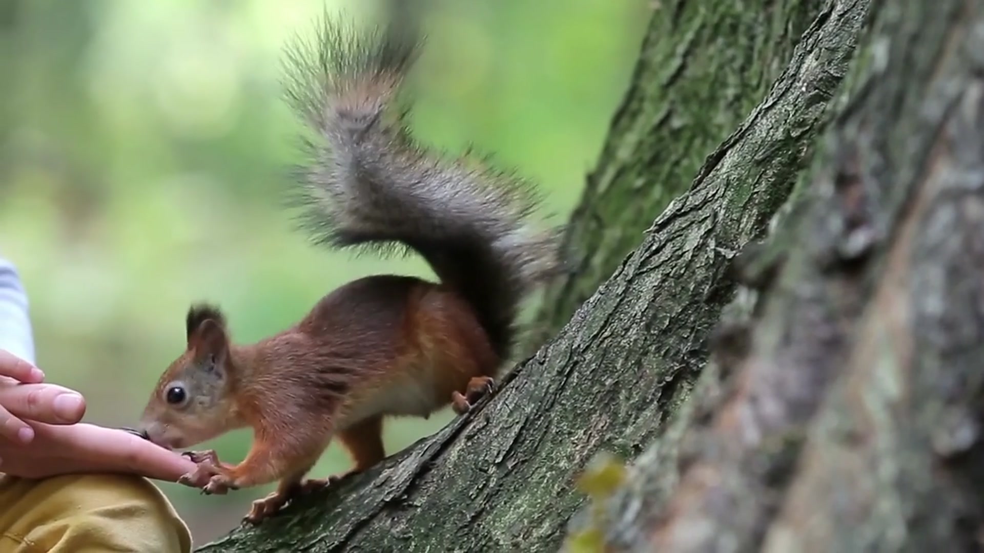 'Video thumbnail for Top 10 Little-Known Great Small Towns'