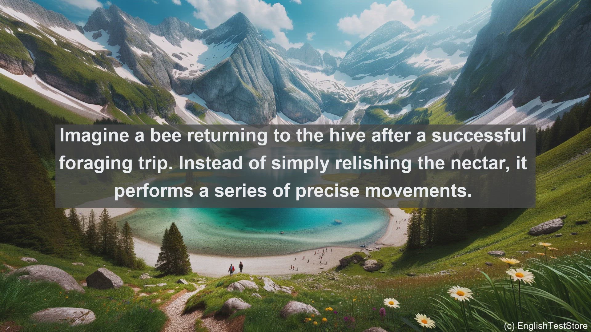 'Video thumbnail for Dance of the bees in science  definition and examples'