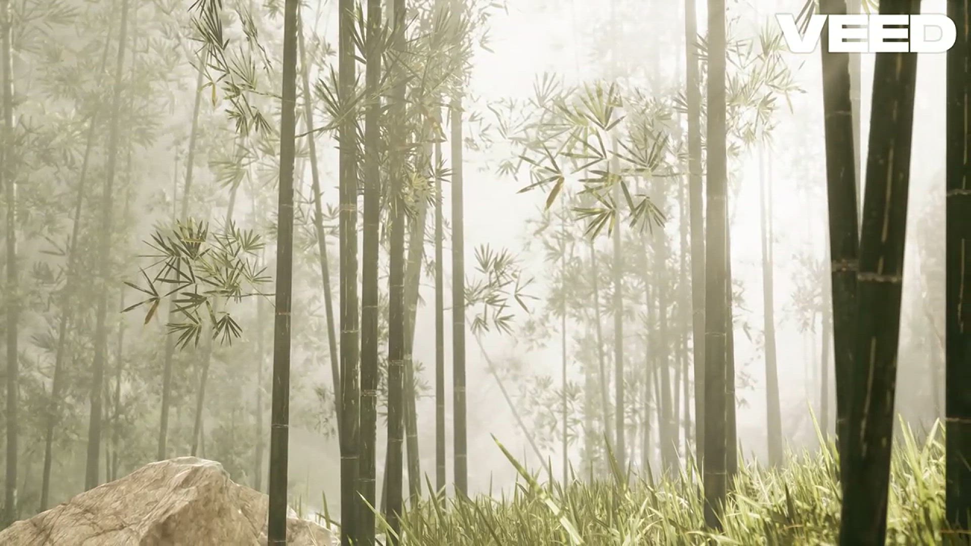 'Video thumbnail for Discovering the Majestic World of Deer'