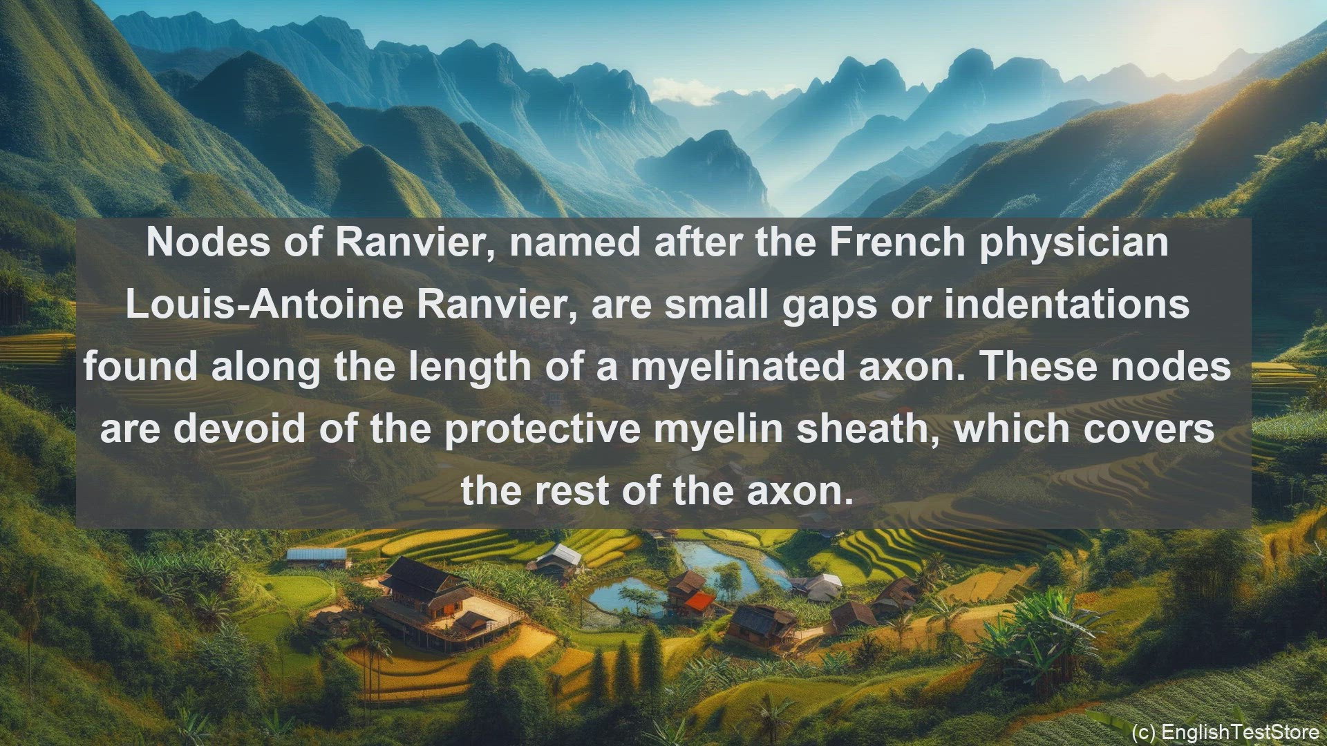 'Video thumbnail for Nodes of ranvier in science  definition and examples'