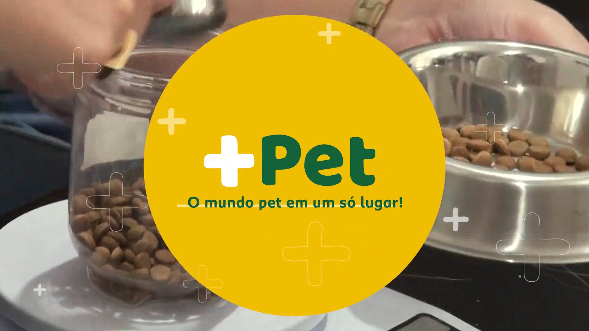 'Video thumbnail for COMO EVITAR A OBESIDADE EM GATOS?'