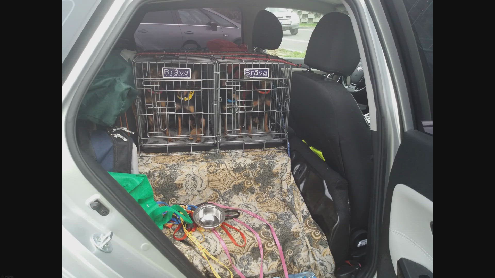 Video thumbnail for How To Stop A Dog From Pooping In The Crate