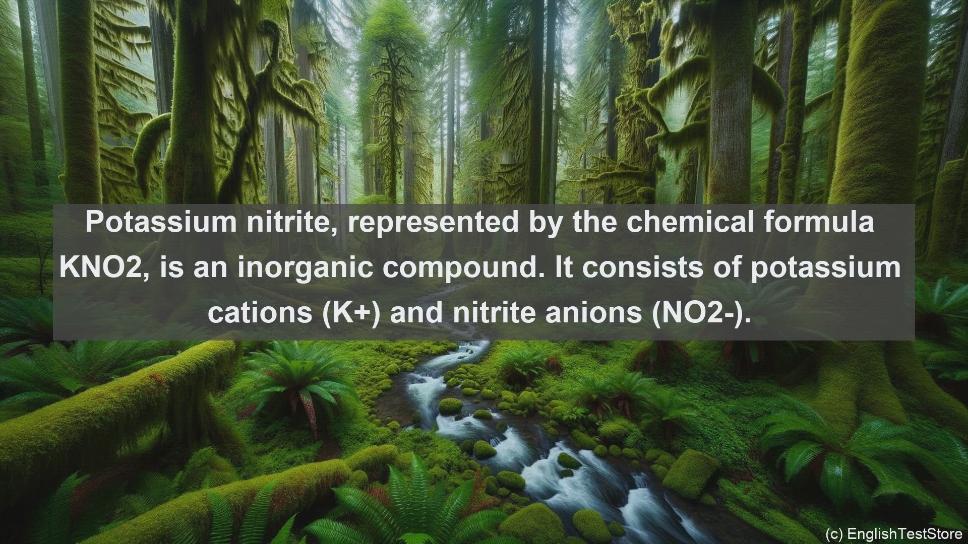 'Video thumbnail for Potassium nitrite in science  definition and examples'