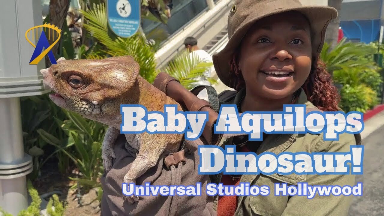 'Video thumbnail for New Aquilops Baby Dinosaur Makes Appearance at Universal Studios Hollywood'