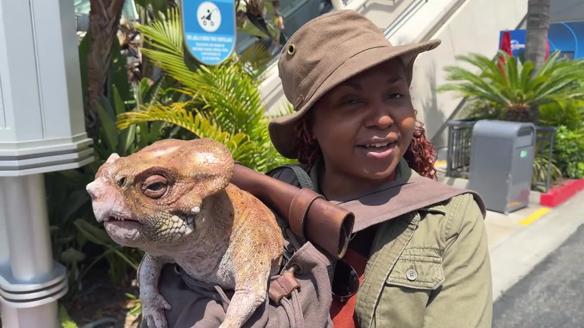 'Video thumbnail for New Aquilops Baby Dinosaur Makes Appearance at Universal Studios Hollywood'