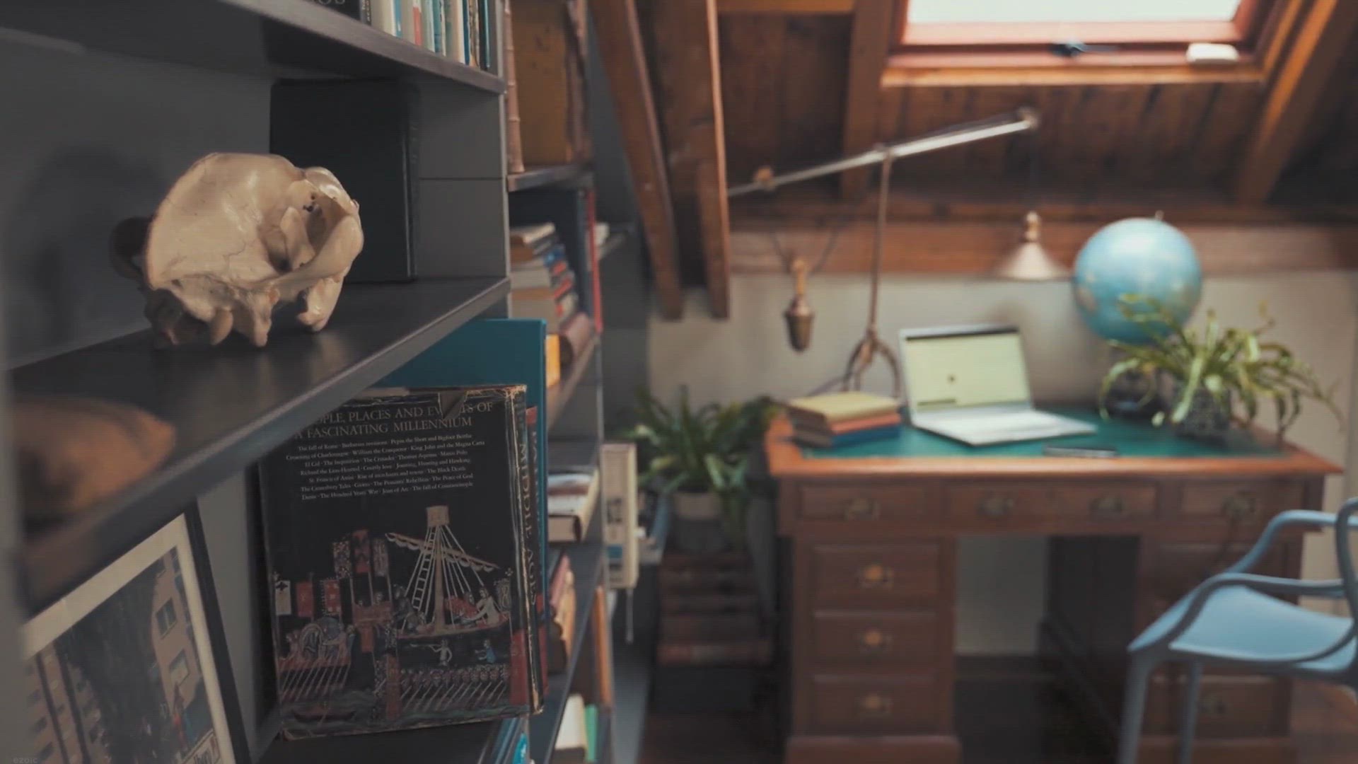 Video thumbnail for 10 Houseplants to Greenify Your Bookshelf