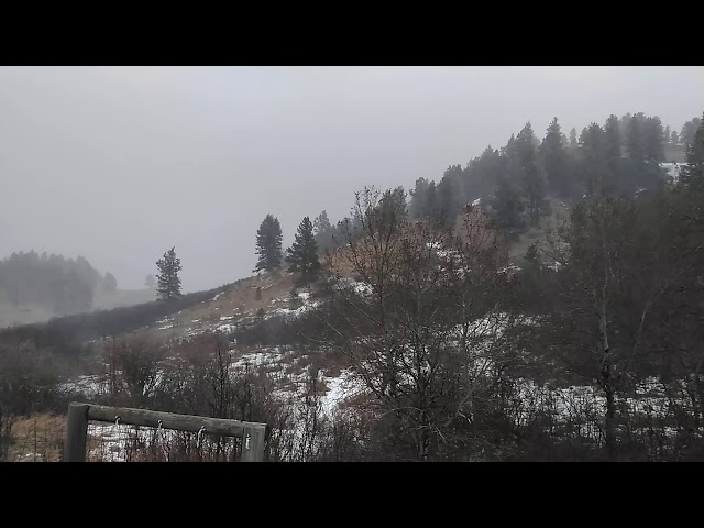 Video thumbnail for SNOW FOR CHRISTMAS 2020