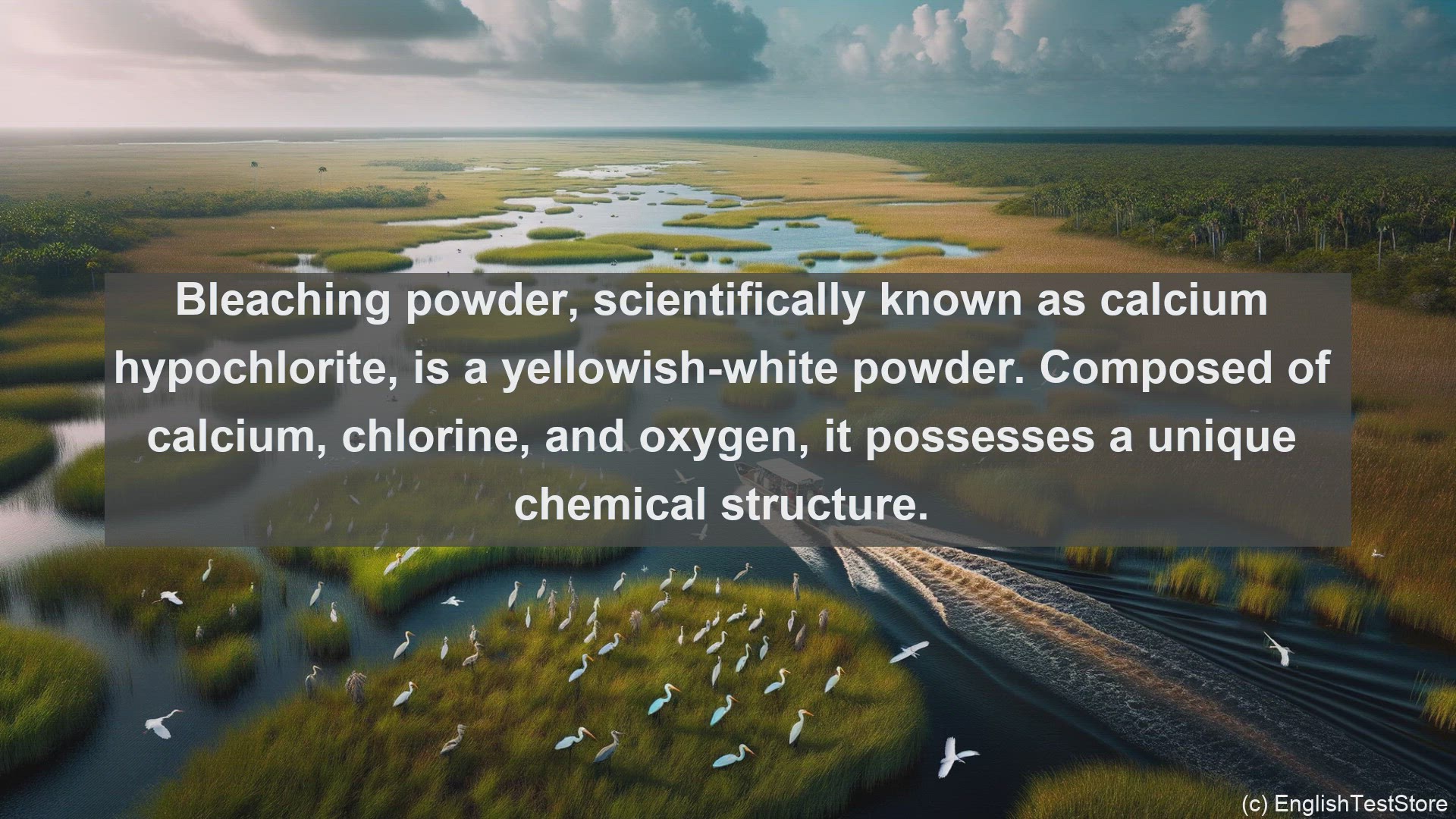 'Video thumbnail for Bleaching powder in science  definition and examples'
