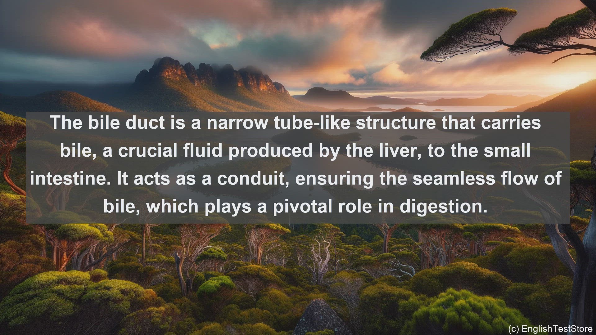 'Video thumbnail for Bile duct in science  definition and examples'