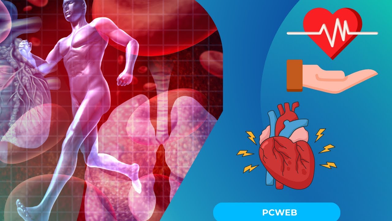 Video thumbnail for Cardiovascular Physical Exam: How Semiology Reads the Findings