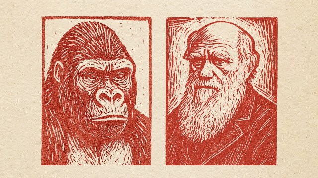 Video thumbnail for The history of natural selection, in 7 minutes