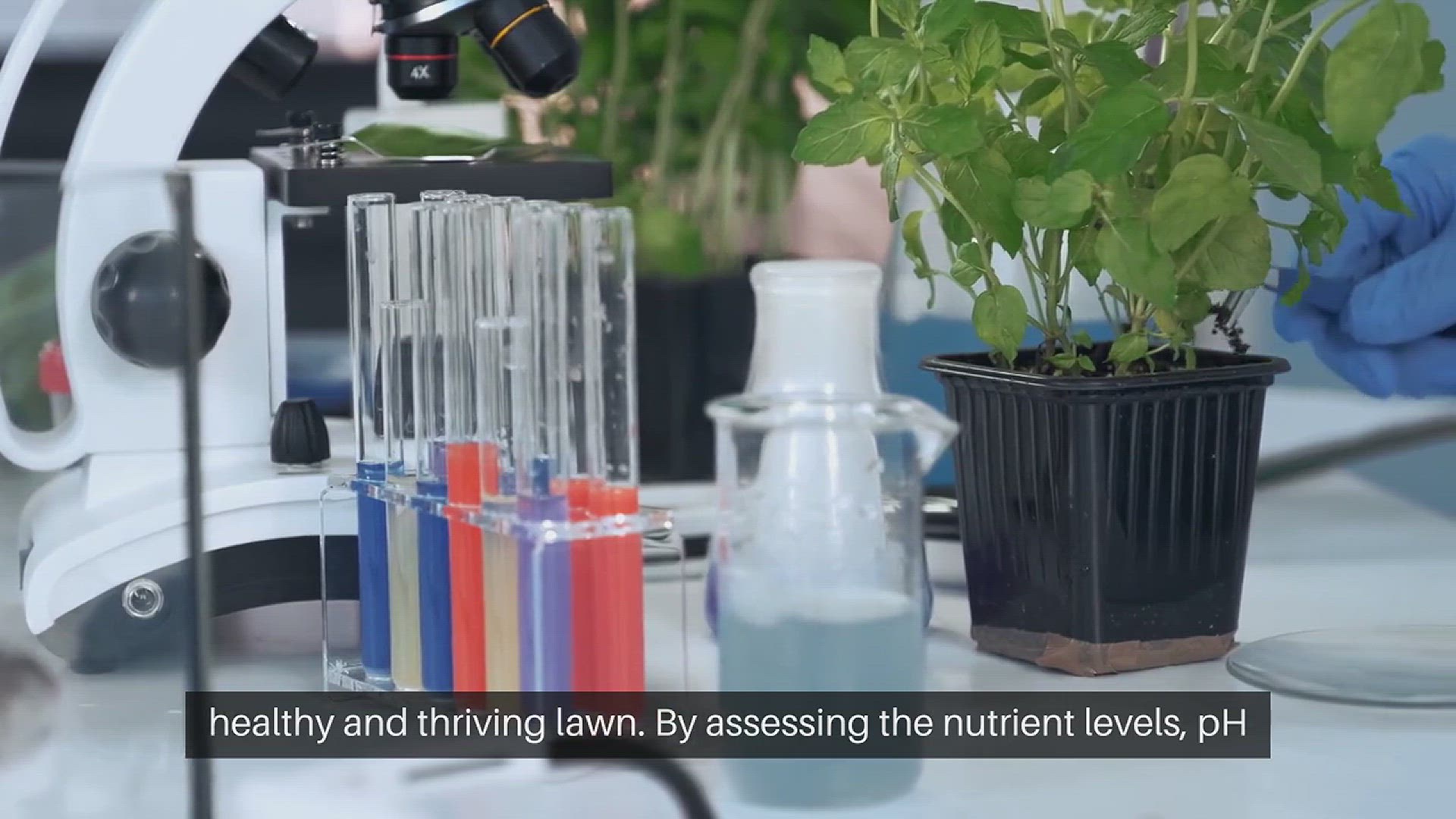 'Video thumbnail for Lawn Soil Testing and Amendment'