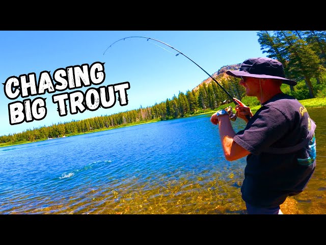 Video thumbnail for Chasing BIG Trout Fishing Mammoth Lakes