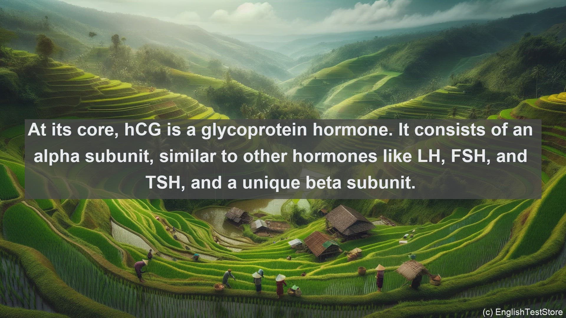 'Video thumbnail for Human chorionic gonadotrophin in science  definition and examples'