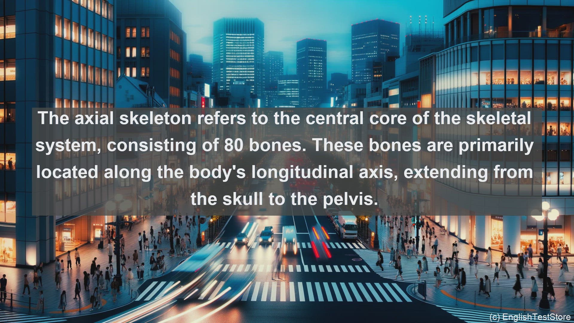 'Video thumbnail for Axial skeleton in science  definition and examples'