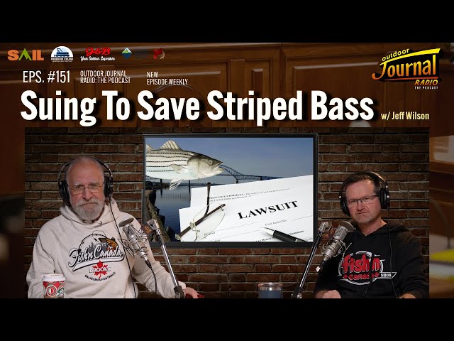 'Video thumbnail for Suing to Save Striped Bass | Outdoor Journal Radio ep. 151'